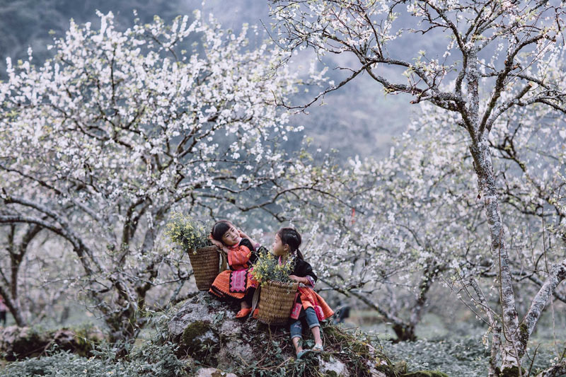 Du Xuân 2025: Về với những cảnh sắc tuyệt đẹp và văn hóa đặc trưng Việt Nam