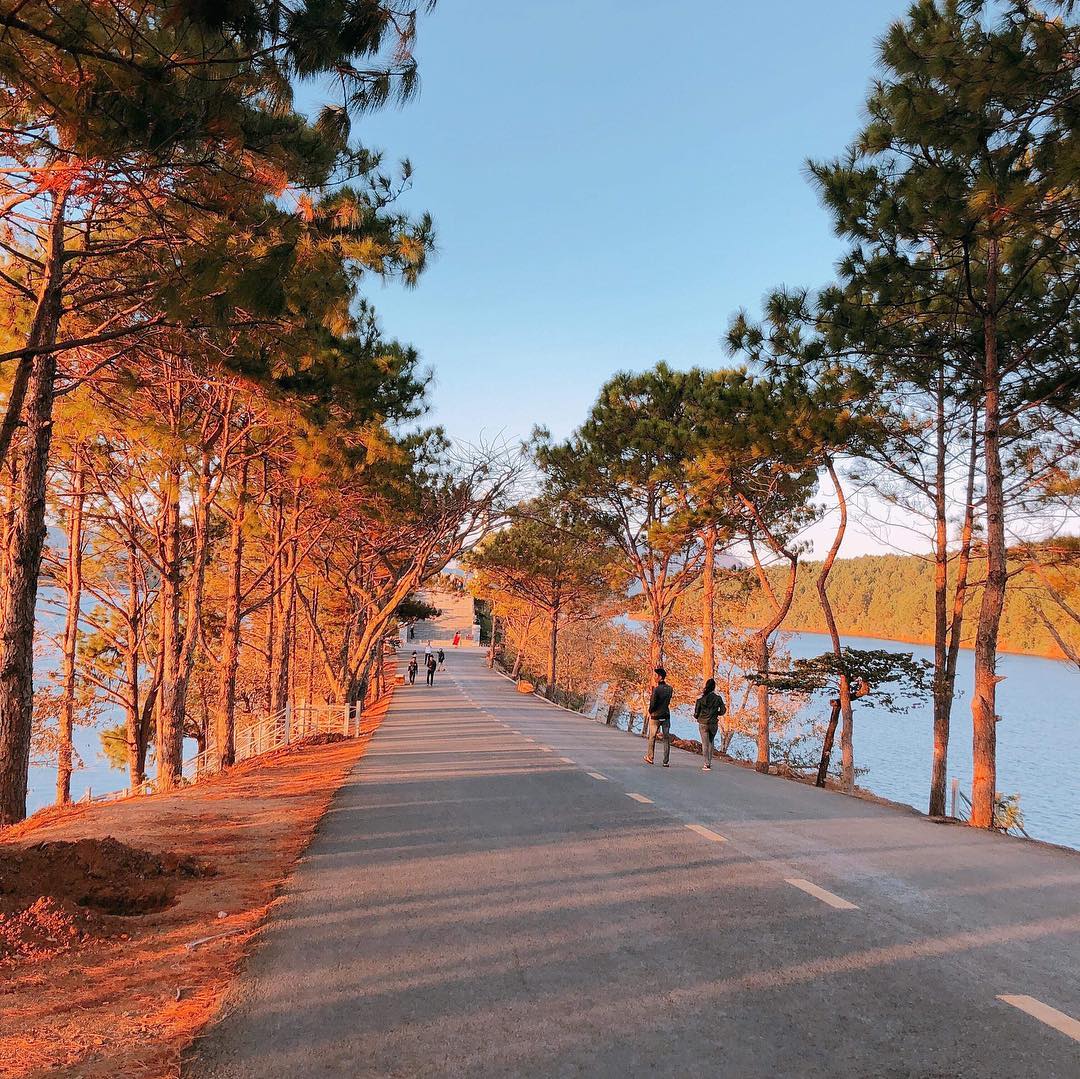 Tây Nguyên mùa cao su đổ lá