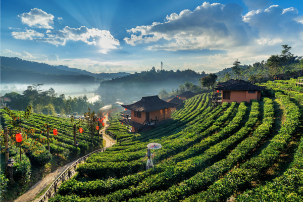Thái Lan tung “tour như không tour”: Hành trình khám phá những làng văn hóa và điểm du lịch cộng đồng không phải ai cũng biết