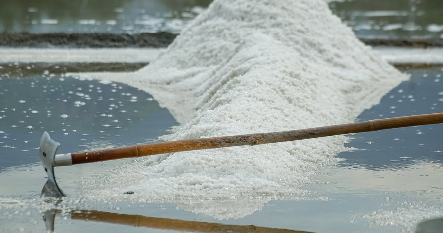 cánh đồng muối