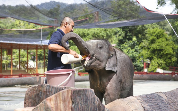 tour khu bảo tồn voi