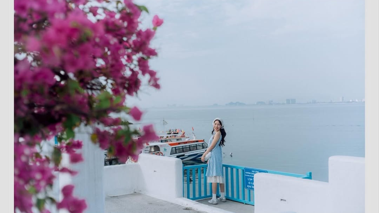sơn trà