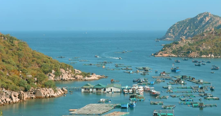 vịnh vĩnh hy
