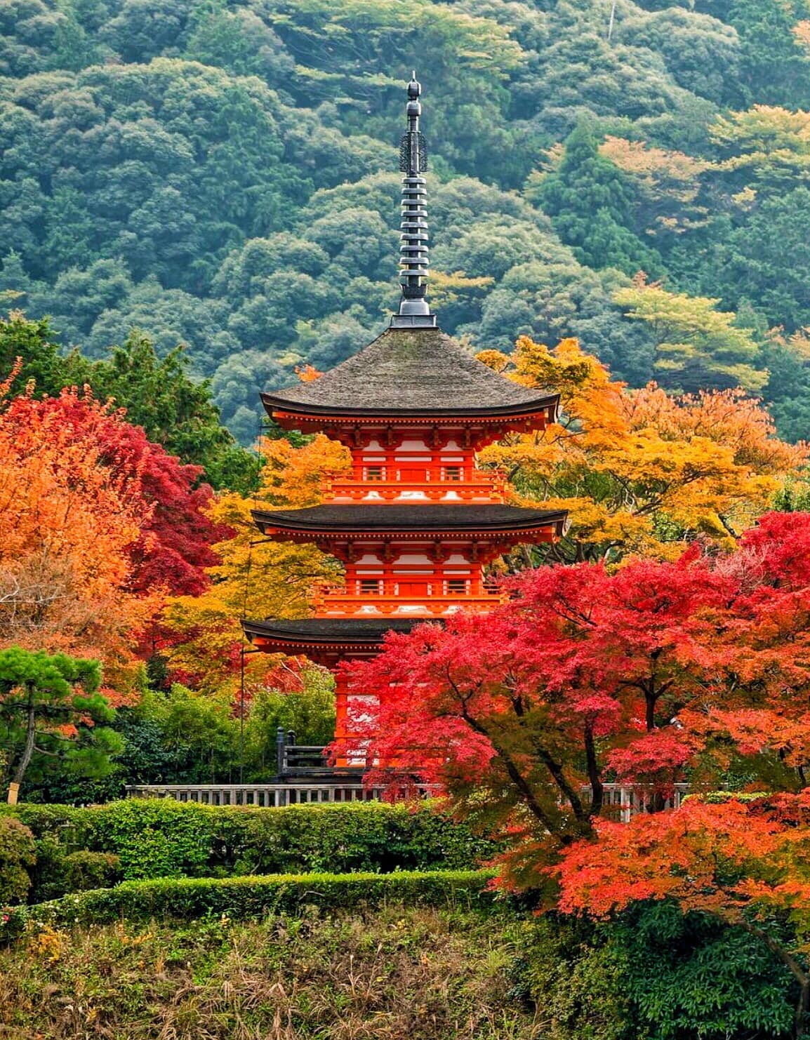 Khu vực chùa Kiyomizu-dera
