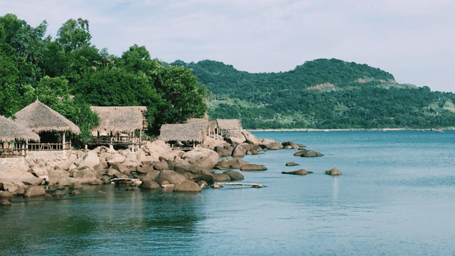 sơn trà