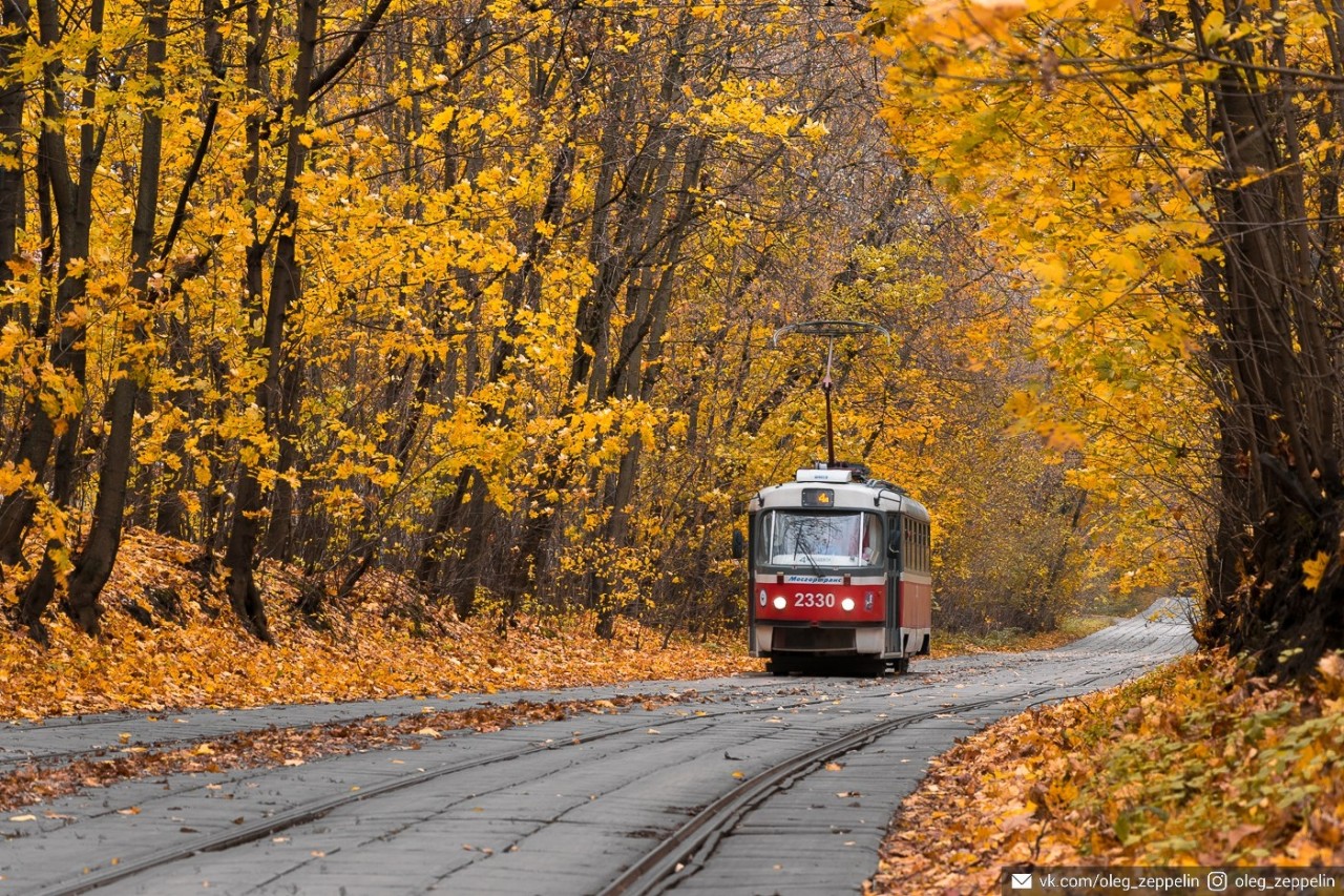 Công viên Sokolniki