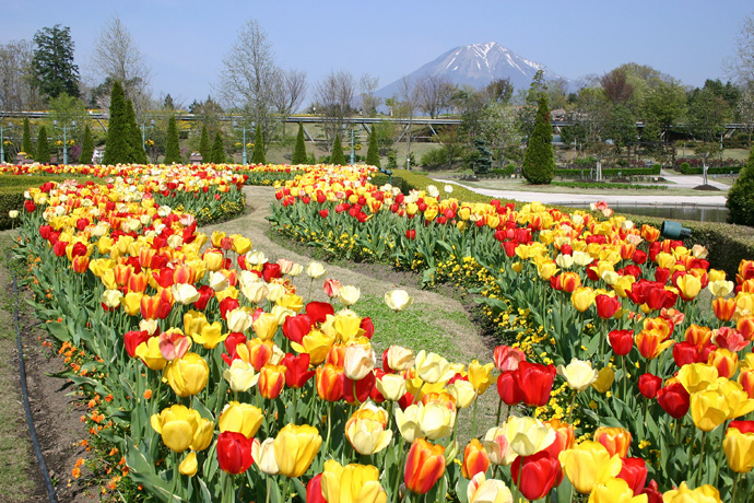 Công viên Hoa Tottori Hanakairo