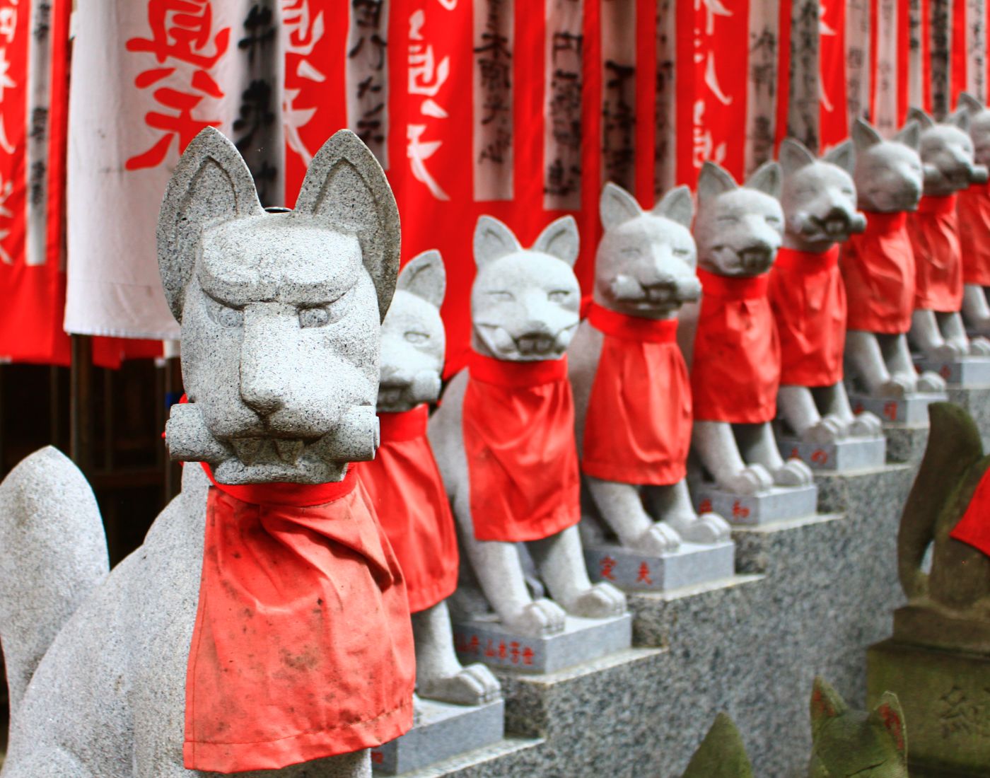 • Chùa cáo Toyokawa (Ttoyokawa Inari)