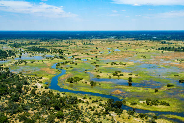 đồng bằng Okavango