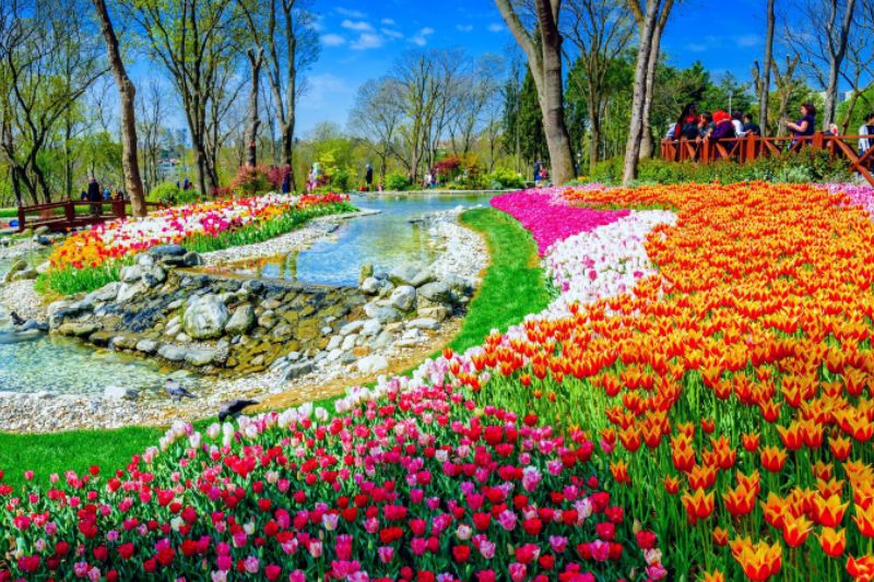 Công viên Emirgan – Lễ hội hoa Tulip & Grove ở Emirgan