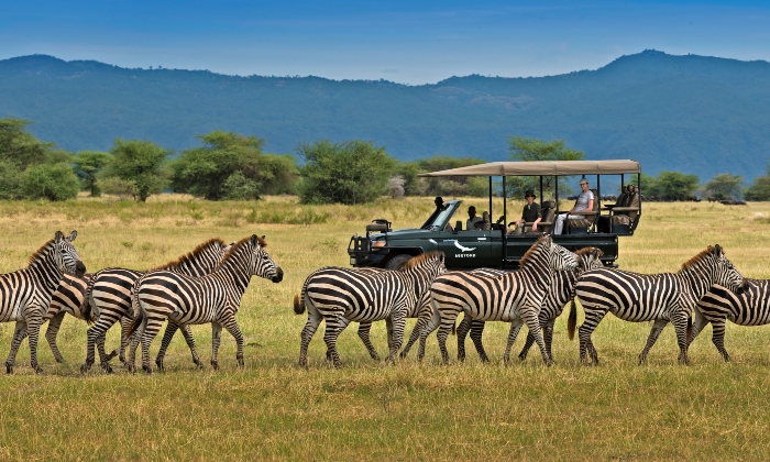 Game Drive