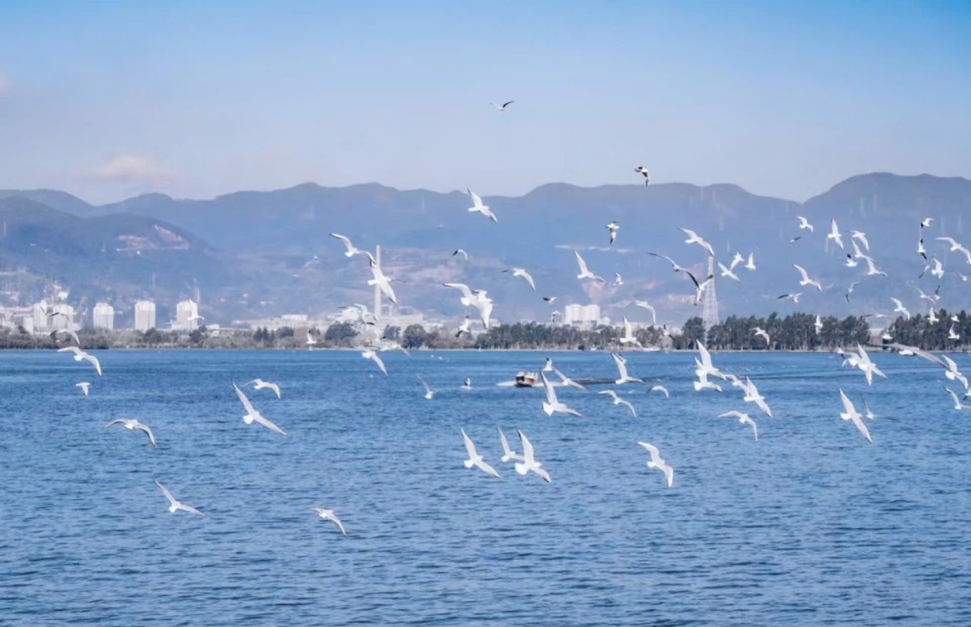 Hồ Điền Trì (Dianchi Lake