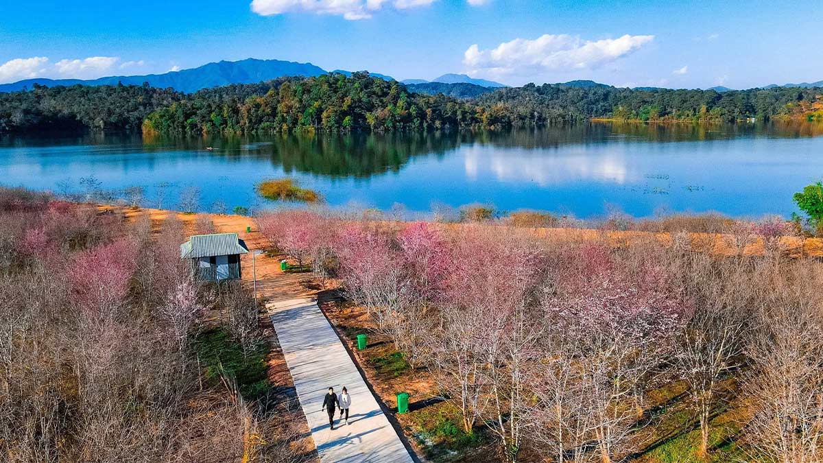 Hồ Pá Khoang - Điện Biên