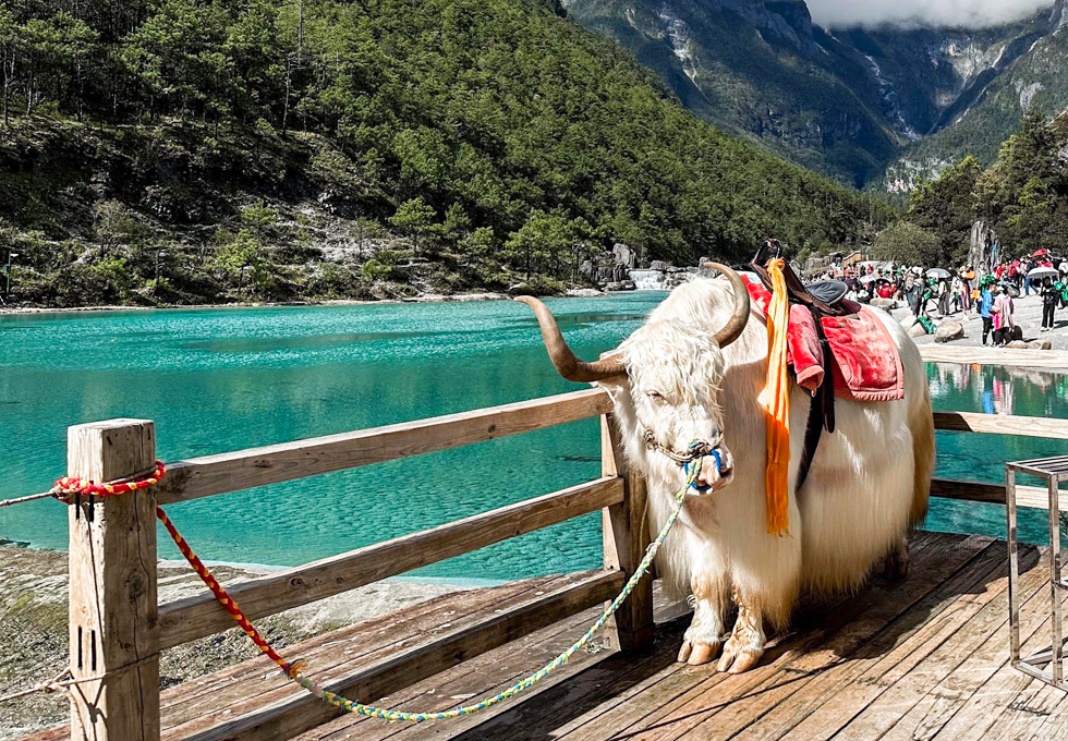 Thung Lũng Lam Nguyệt Cốc