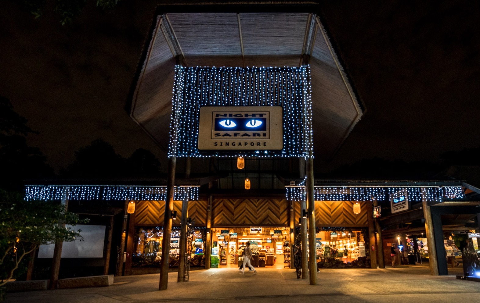 Night Safari,
