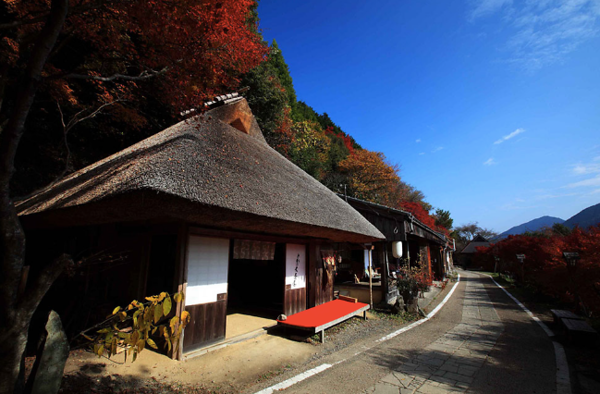 Hành Hương Kumano Kodo – Về Miền Cổ Tự Nhật Bản