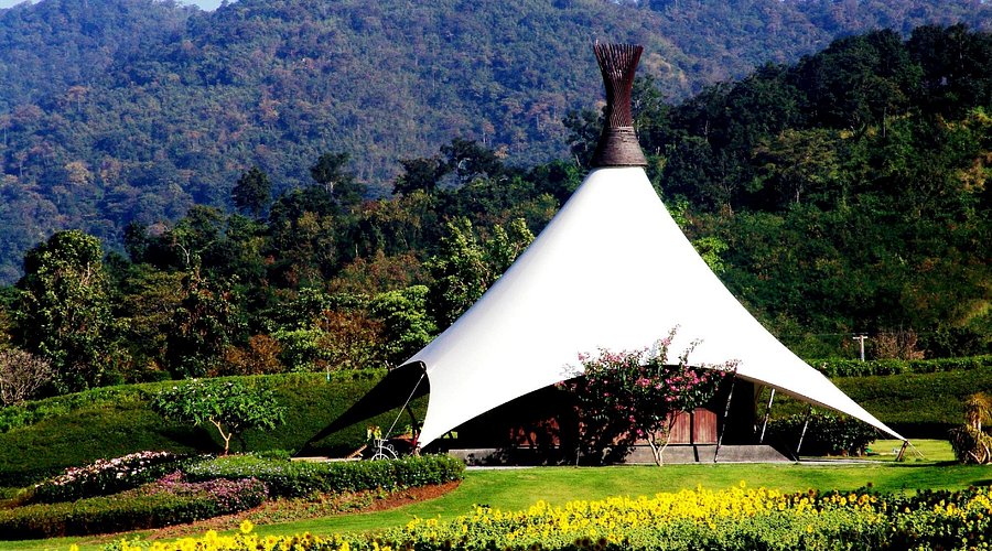 Vườn nho PB Valley