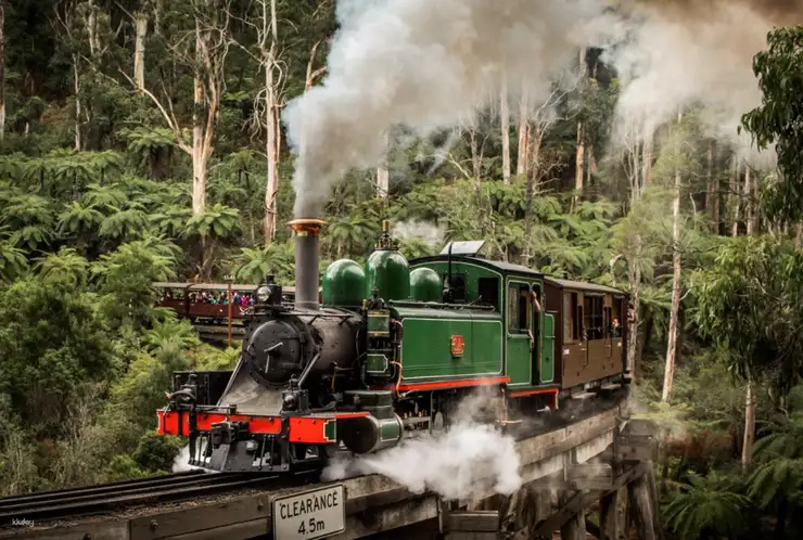 Puffing Billy.
