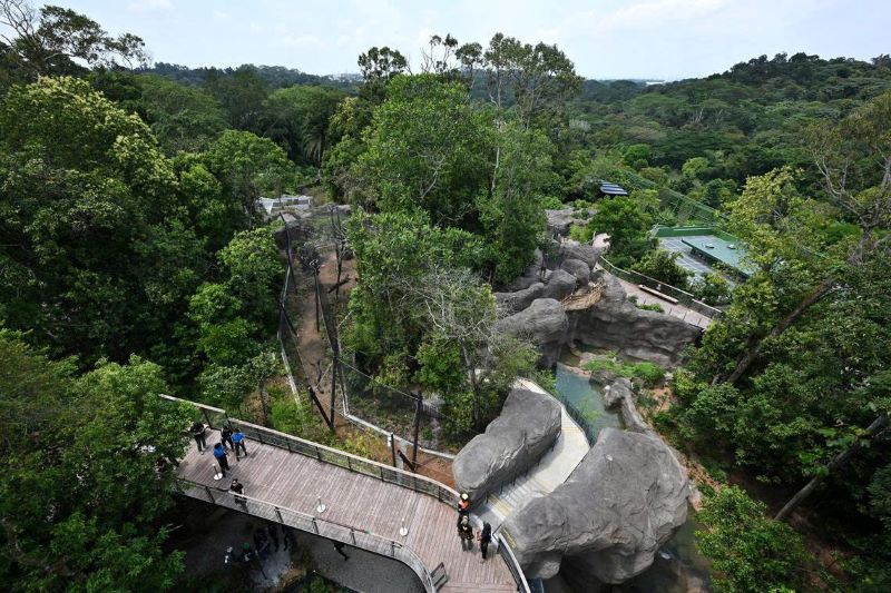 rừng nhiệt đới