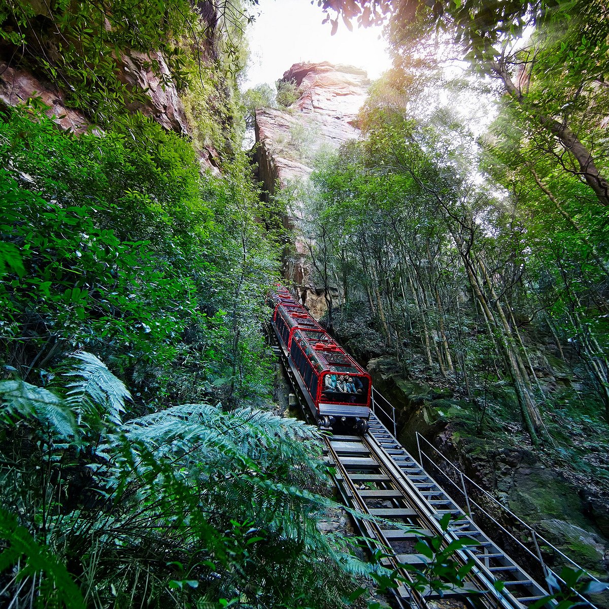 Scenic World