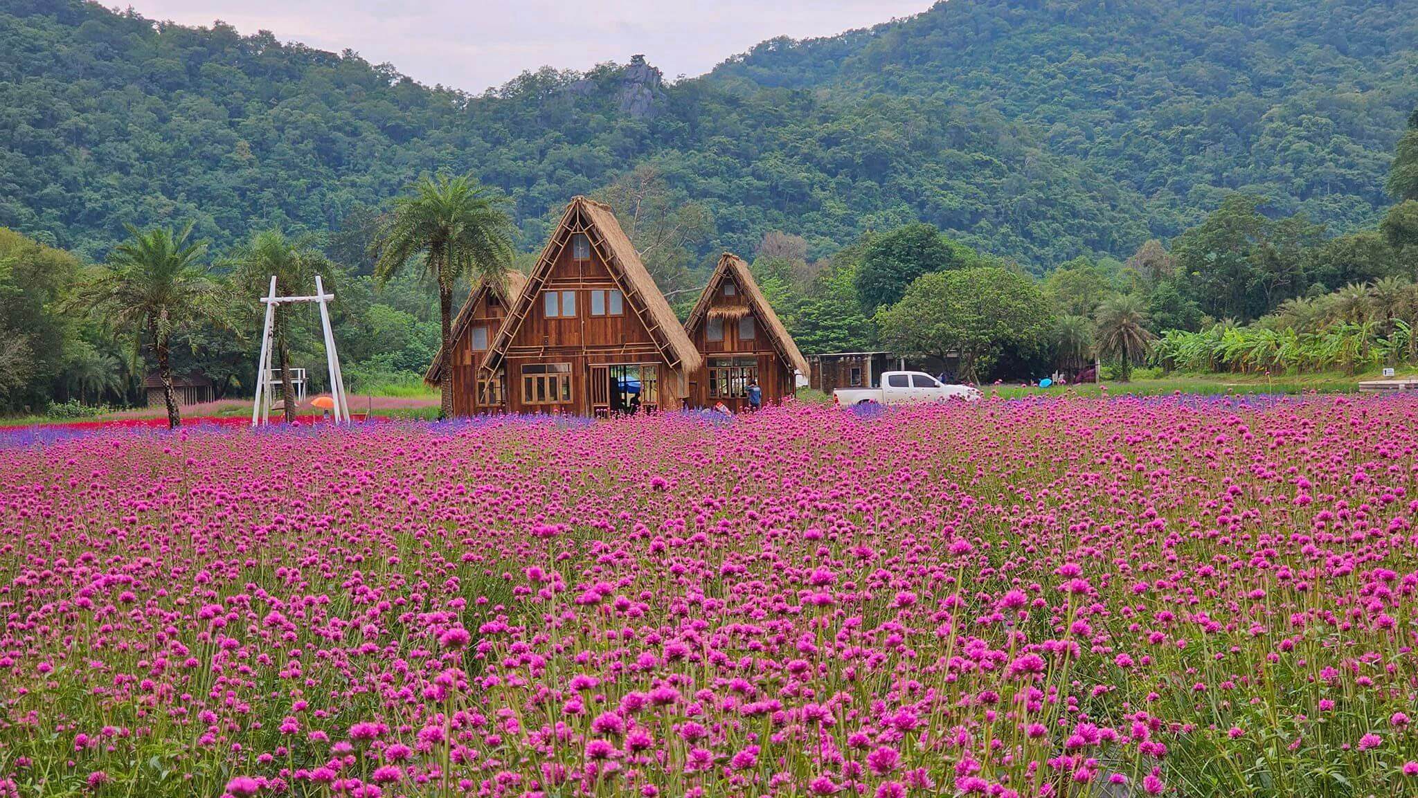 Công viên hoa Hokkaido Khao Yai
