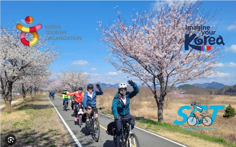 Hành Trình Xanh Hàn Quốc: Đạp Xe Khám Phá Cố Đô Gyeongju – Busan Rực Rỡ