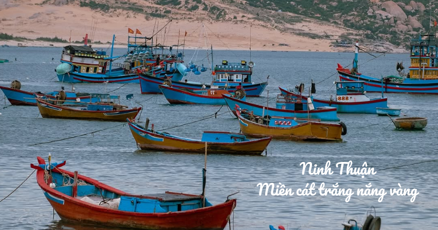 Miền Cát Trắng Ninh Thuận
