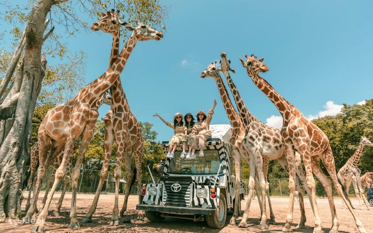 Tour Bangkok - Kanchanaburi 4N3Đ | Check-in Safari Park cực hot