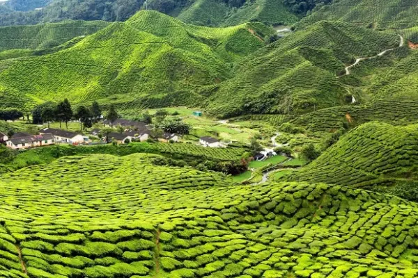 KHÁM PHÁ CAO NGUYÊN