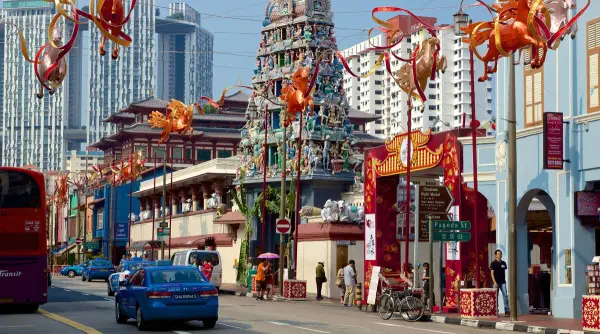 Hành Trình Di Sản & Thiên Nhiên: Khám Phá Chinatown – Gardens By The Bay (Full Day)