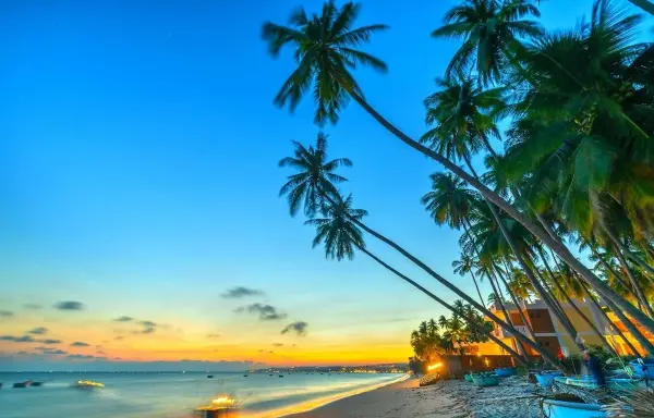 Sài Gòn – Phan Thiết – Đảo Phú Quý