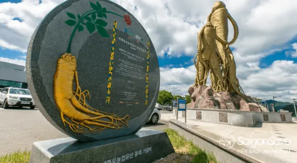 Thủ phủ nhân sâm Hàn Quốc: Busan - Geaumsan