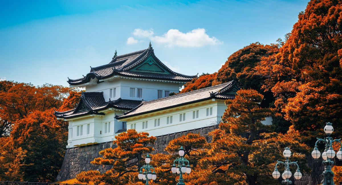 Hành trình Đế đô: Tây An – Lạc Dương – Khai Phong