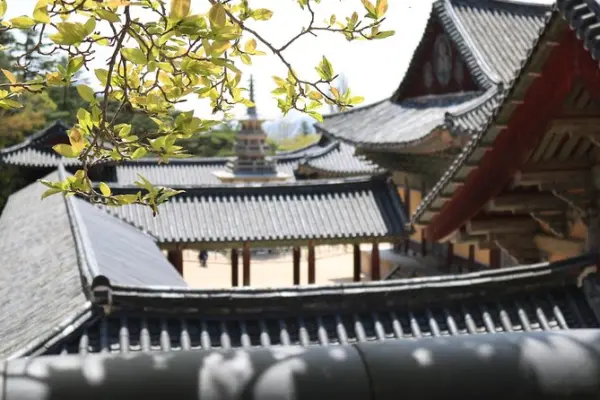 Tour giao lưu văn hóa Việt – Hàn: Busan – Gyeongju – Andong – Seoul