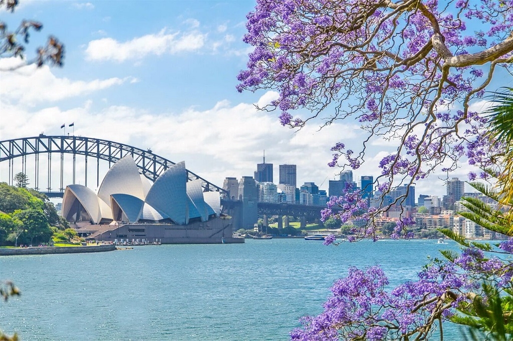 Sydney City Tour Nửa Ngày