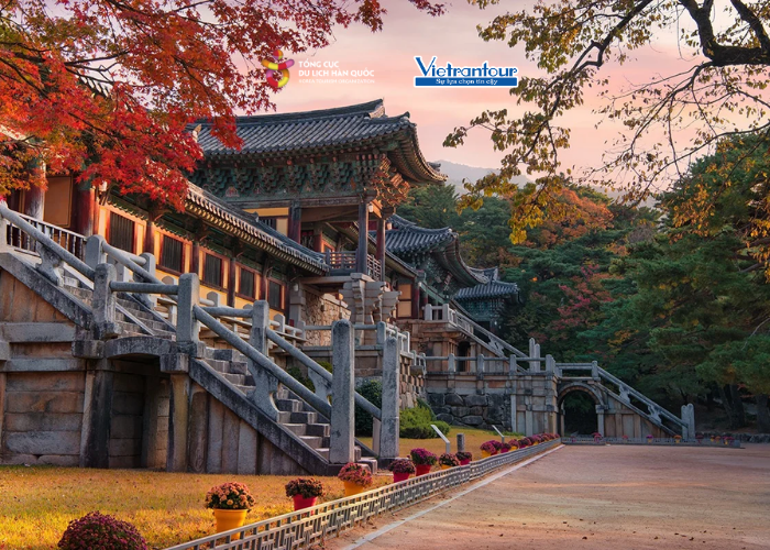 Busan – Ulsan – Gyeongju: Hành Trình Biển Xanh & Di Sản Nam Hàn
