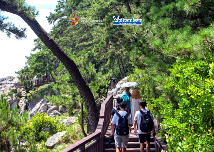 Hành trình trekking & khám phá cố đô silla 5n4đ