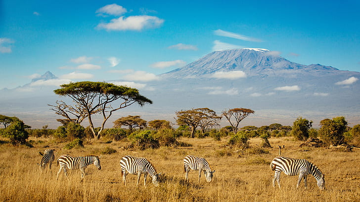 Tiếng Gọi Nơi Hoang Dã: Hành Trình Khám Phá Đông Phi Kenya – Tanzania 2026